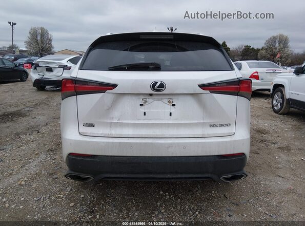 JTJDARDZ1M5025152 2021 LEXUS NX 300 White 