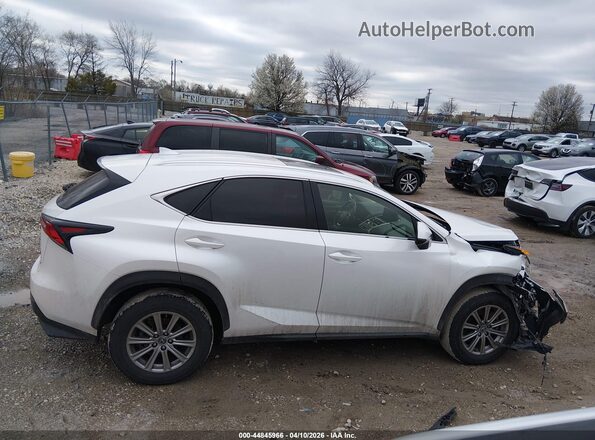 JTJDARDZ1M5025152 2021 LEXUS NX 300 White Սալոնի հետևի տեսք