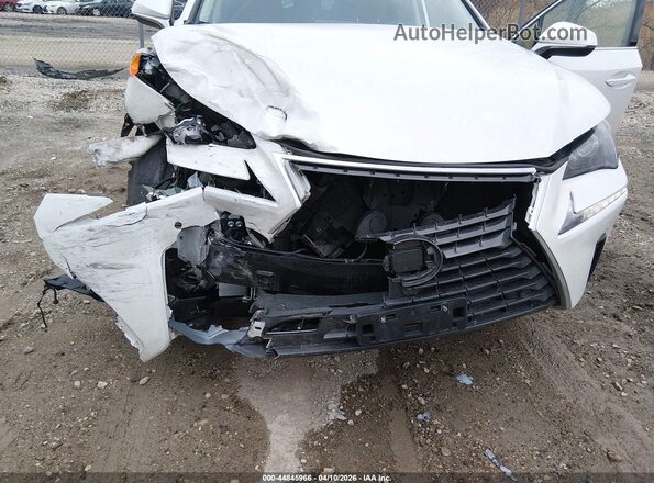 JTJDARDZ1M5025152 2021 LEXUS NX 300 White Դիմացի տեսք