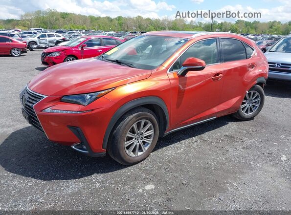 JTJDARDZ7L2219426 2020 LEXUS NX 300 Orange Vista tres cuartos delantera izquierda