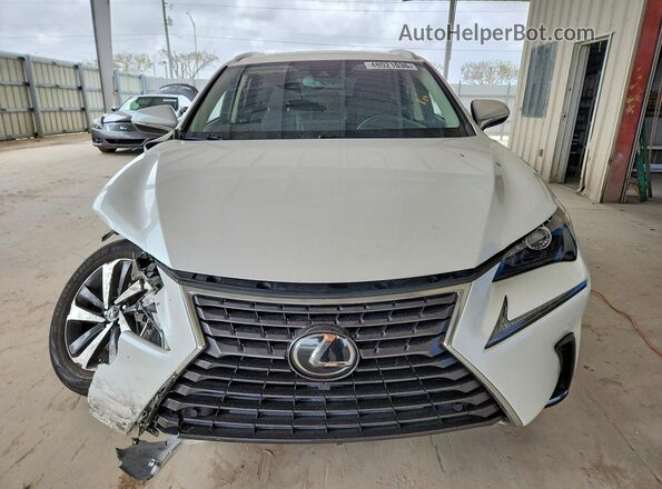 JTJGARBZ2M5035690 2021 LEXUS NX Белый Вид спереди