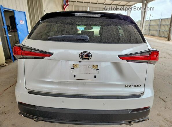 JTJGARBZ2M5035690 2021 LEXUS NX Белый Вид сзади