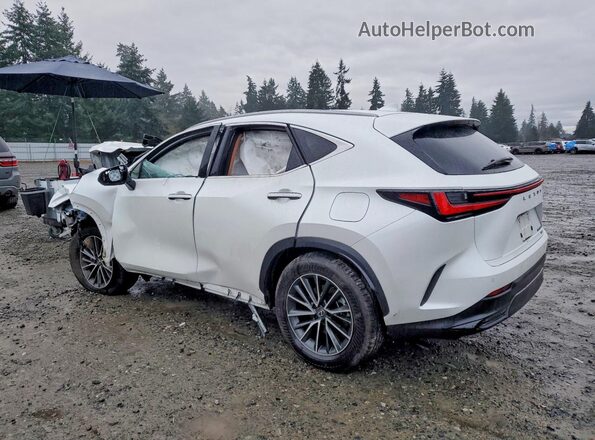 JTJGGCEZ2R2016282 2024 LEXUS NX White Tył lewy