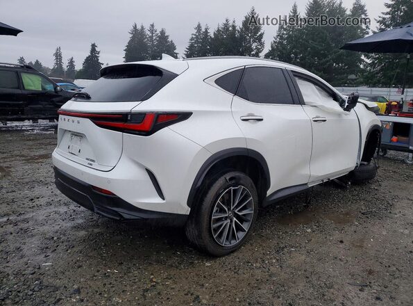 JTJGGCEZ2R2016282 2024 LEXUS NX White Tył prawy