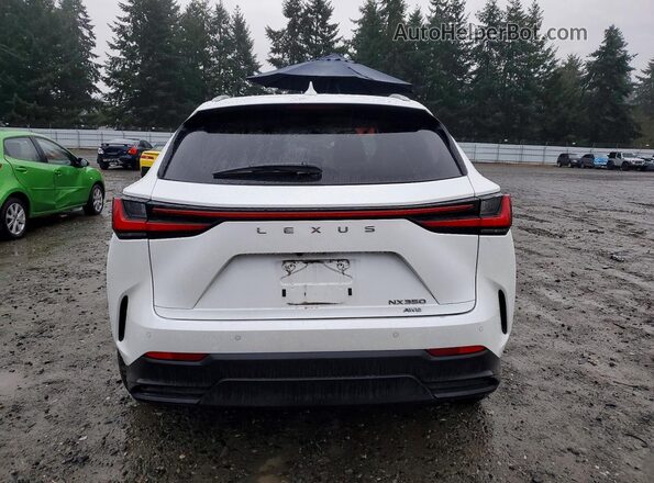 JTJGGCEZ2R2016282 2024 LEXUS NX White Widok z tyłu