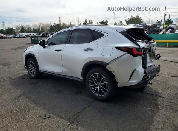 JTJGKCEZ2R5013573 2024 LEXUS NX Белый Задняя левая четверть