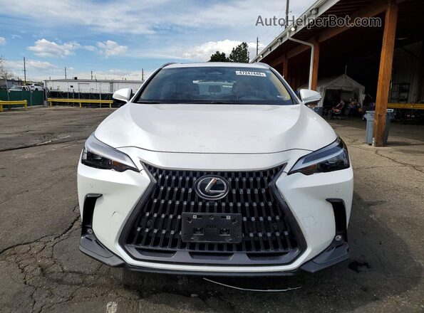 JTJGKCEZ2R5013573 2024 LEXUS NX Белый Вид спереди