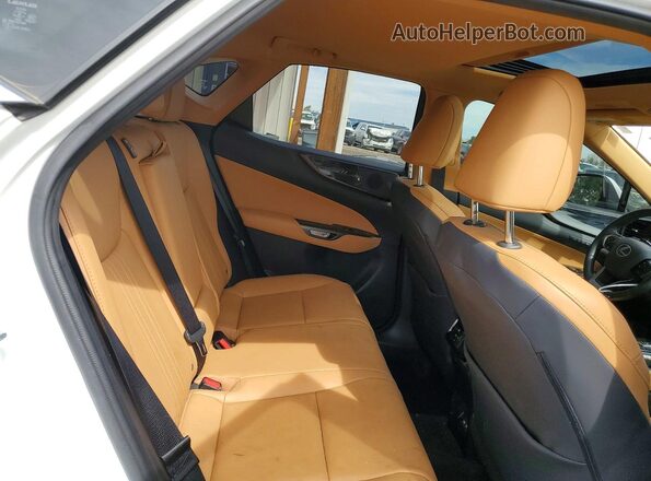JTJGKCEZ2R5013573 2024 LEXUS NX Белый Вид задних сидений
