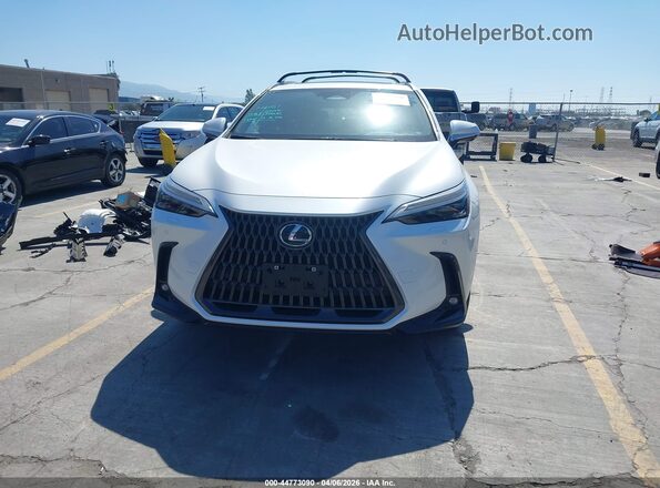 JTJHKCFZ7R2025657 2024 LEXUS NX 450H+ White უკანა სალონის ხედი