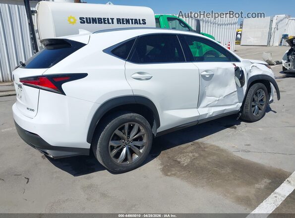 JTJSARBZ2M5023534 2021 LEXUS NX 300 White Հետևի աջ