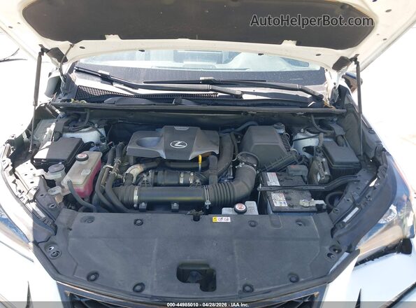JTJSARBZ2M5023534 2021 LEXUS NX 300 White Հետևի տեսք