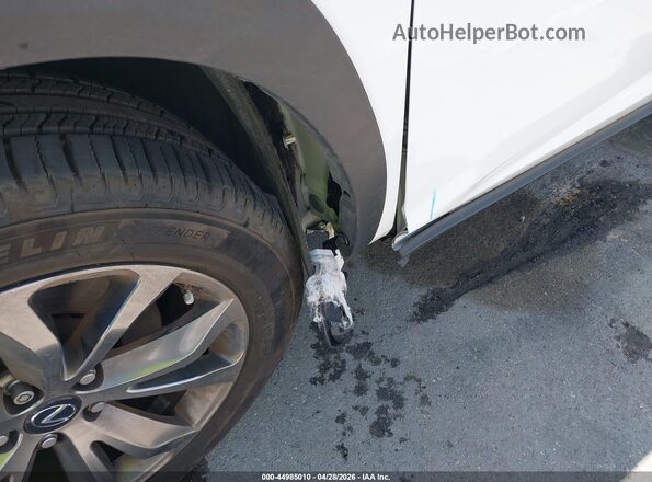 JTJSARBZ2M5023534 2021 LEXUS NX 300 White 