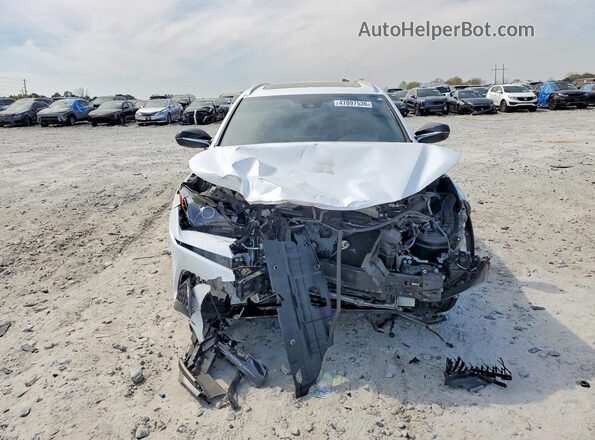 JTJSARBZ5M5025603 2021 LEXUS NX Белый 