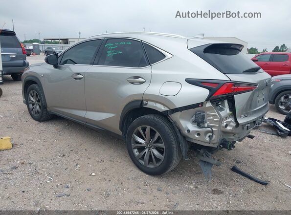 JTJSARBZ6M2181876 2021 LEXUS NX 300 Brown Tył lewy