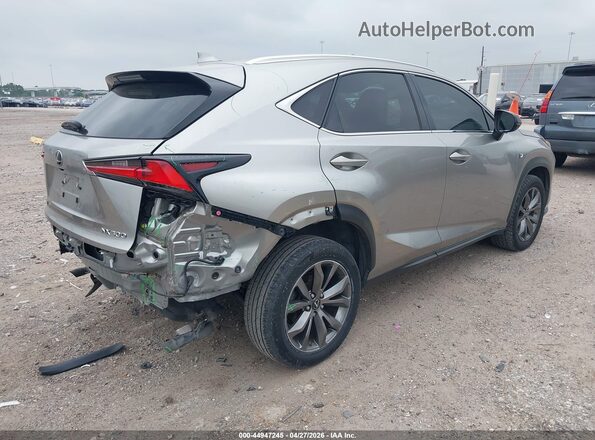 JTJSARBZ6M2181876 2021 LEXUS NX 300 Brown Tył prawy
