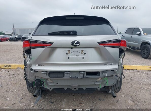 JTJSARBZ6M2181876 2021 LEXUS NX 300 Brown 