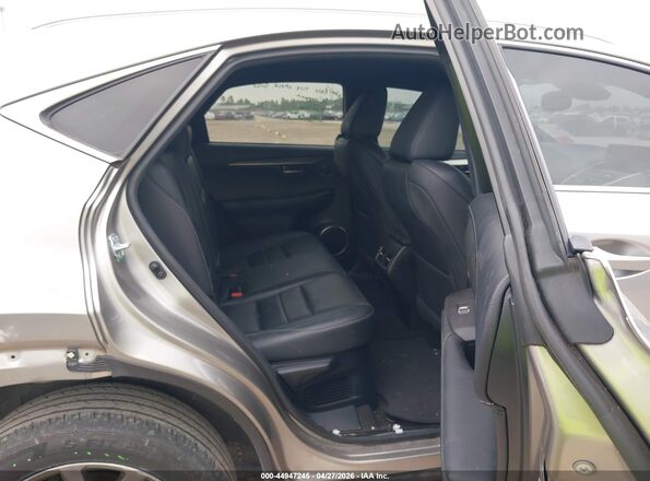 JTJSARBZ6M2181876 2021 LEXUS NX 300 Brown Widok naklejki z numerem VIN
