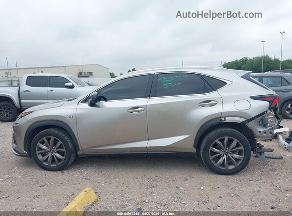 JTJSARBZ6M2181876 2021 LEXUS NX 300 Brown 