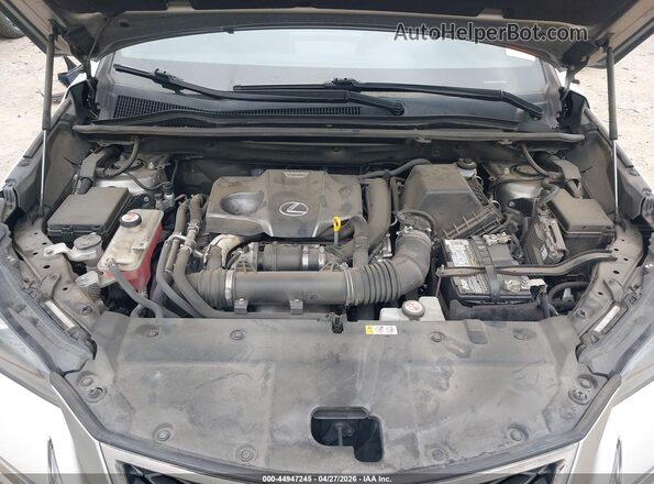 JTJSARBZ6M2181876 2021 LEXUS NX 300 Brown Widok z tyłu
