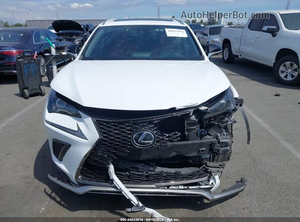 JTJSARBZ6M5022564 2021 LEXUS NX 300 White უკანა სალონის ხედი