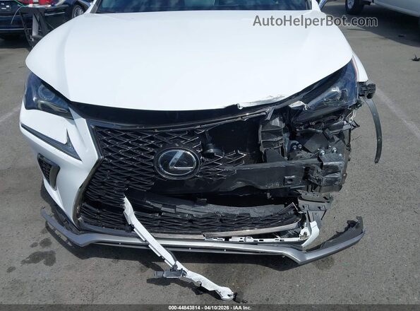 JTJSARBZ6M5022564 2021 LEXUS NX 300 White წინა ხედი