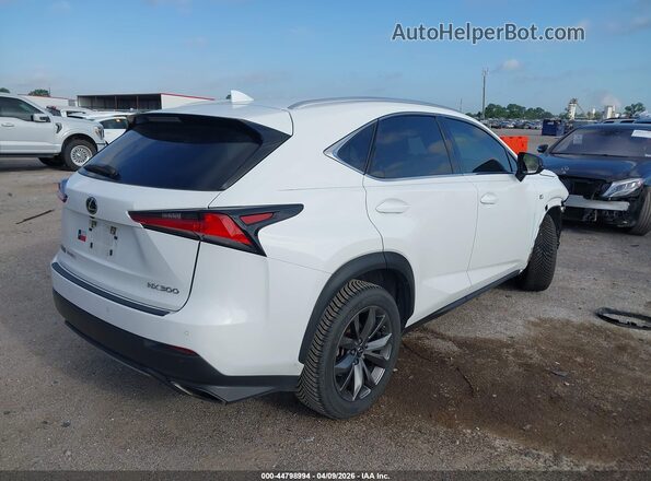 JTJSARBZ7L5011605 2020 LEXUS NX 300 Белый Задняя правая четверть