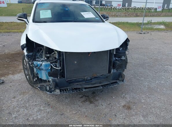 JTJSARBZ7L5011605 2020 LEXUS NX 300 Белый Вид спереди