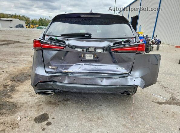 JTJSARBZ7M2180428 2021 LEXUS NX Gray Rear view
