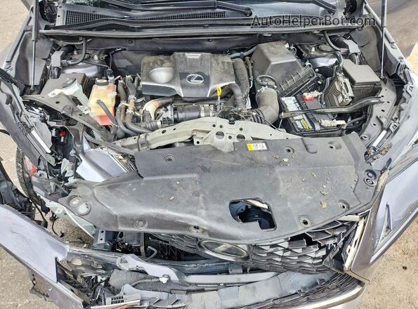 JTJSARBZ7M2180428 2021 LEXUS NX Gray Engine compartment view