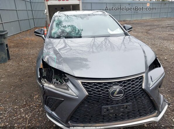 JTJSARDZ0M2240501 2021 LEXUS NX 300 Gray Widok z przodu