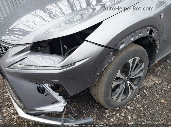 JTJSARDZ0M2240501 2021 LEXUS NX 300 Gray 