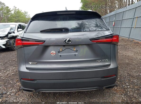 JTJSARDZ0M2240501 2021 LEXUS NX 300 Gray 