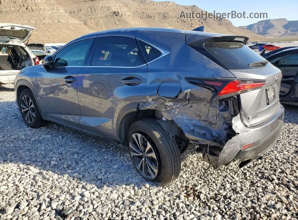 JTJSARDZ1M2243603 2021 LEXUS NX Gray 