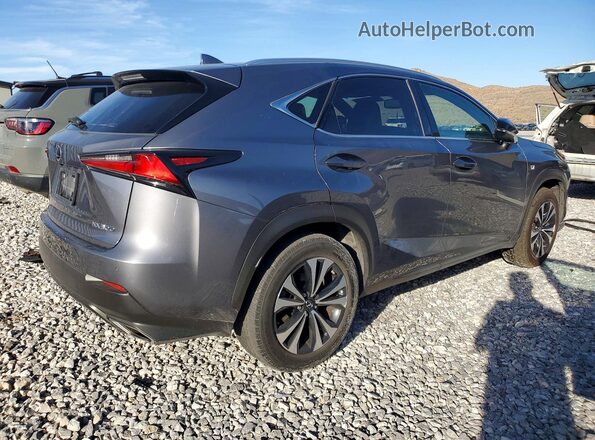 JTJSARDZ1M2243603 2021 LEXUS NX Gray 
