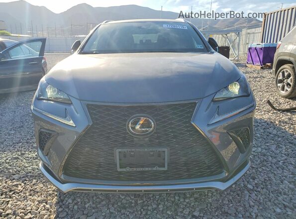 JTJSARDZ1M2243603 2021 LEXUS NX Gray 