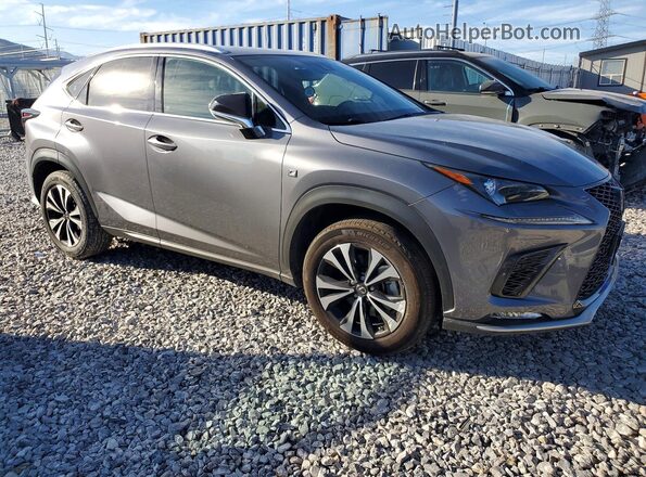 JTJSARDZ1M2243603 2021 LEXUS NX Gray 