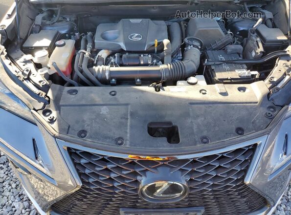 JTJSARDZ1M2243603 2021 LEXUS NX Gray 
