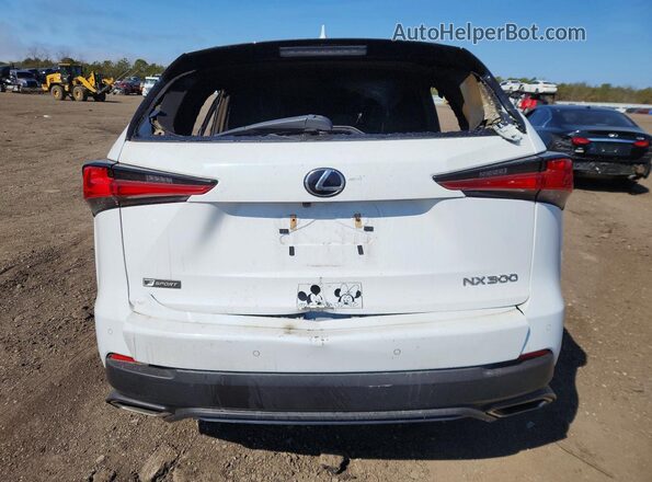 JTJSARDZ4M2255227 2021 LEXUS NX White Вид ззаду
