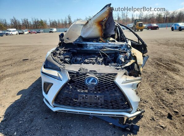 JTJSARDZ4M2255227 2021 LEXUS NX White Вид спереду