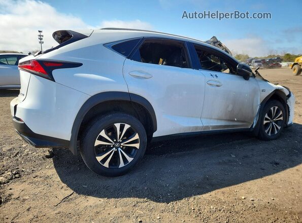 JTJSARDZ4M2255227 2021 LEXUS NX White Задня права чверть