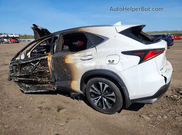 JTJSARDZ4M2255227 2021 LEXUS NX White Задня ліва чверть