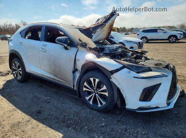 JTJSARDZ4M2255227 2021 LEXUS NX White Передня права чверть