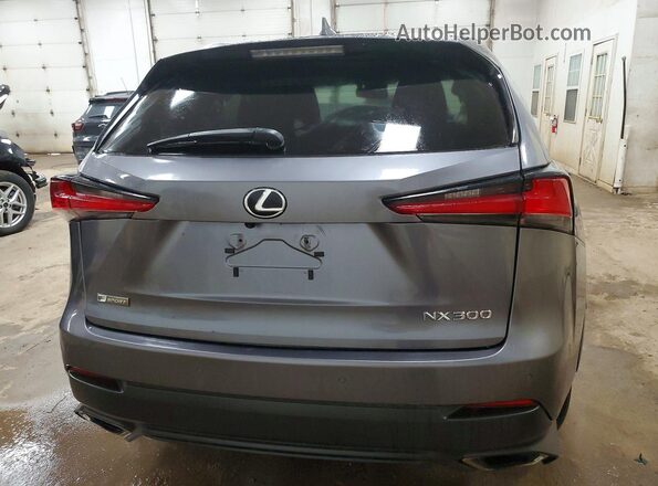 JTJSARDZ6M2237005 2021 LEXUS NX Silver Вид ззаду