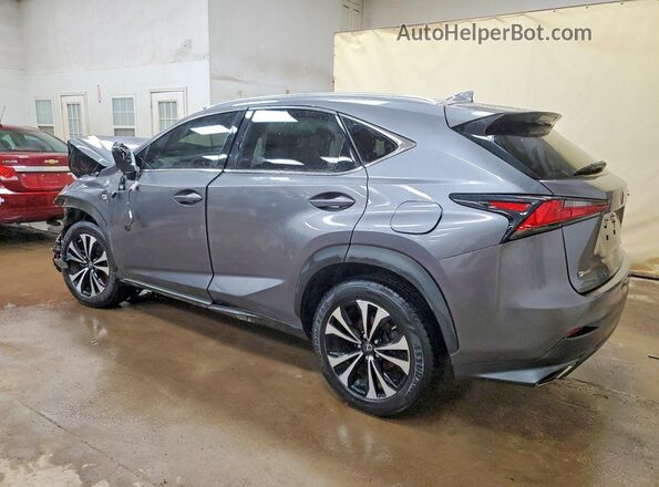 JTJSARDZ6M2237005 2021 LEXUS NX Silver Задня ліва чверть