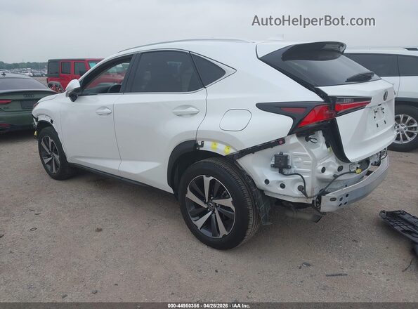 JTJYARBZ2K2134657 2019 LEXUS NX 300 White Задня ліва чверть