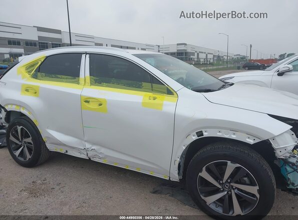 JTJYARBZ2K2134657 2019 LEXUS NX 300 White Вид задньої частини салону