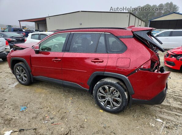 JTMB6RFV6PD081507 2023 TOYOTA LE Burgundy უკანა მარცხენა