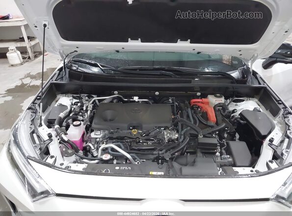 JTMFB3FV0SD243294 2025 TOYOTA RAV4 PLUG-IN HYBRID Белый Вид сзади