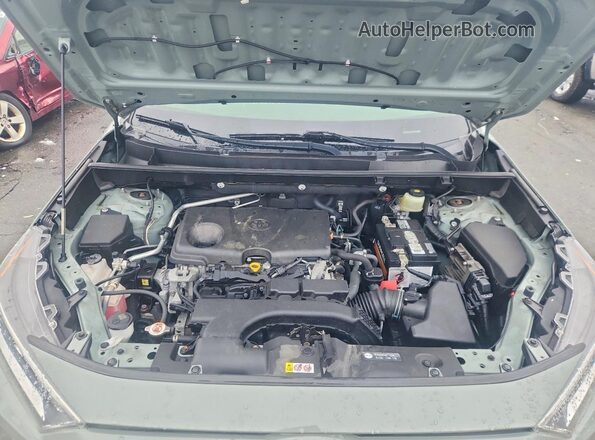 JTMP1RFV9KD038292 2019 TOYOTA LE Green Вид задньої частини салону