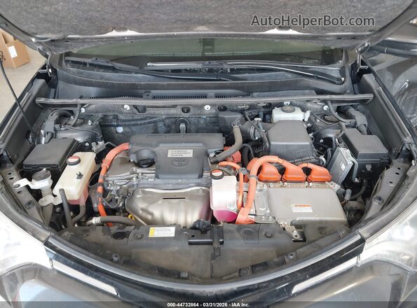 JTMRJREV0GD003321 2016 TOYOTA LE Gray Widok z tyłu